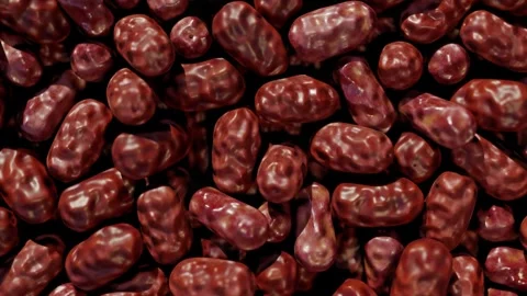 Realistic Date Fruit Close-Up Animation for Ramadan Visuals Video stock 322555446