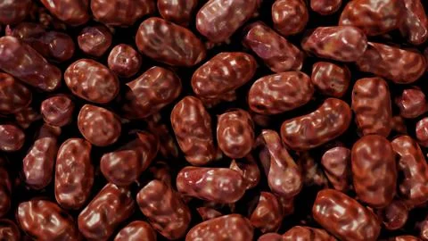 Realistic Date Fruit Macro Still for Ramadan 스톡 사진