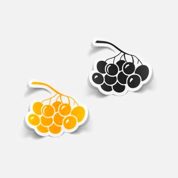 Realistic design element: berries Stock Illustration