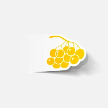 Realistic design element: berries Stock Illustration
