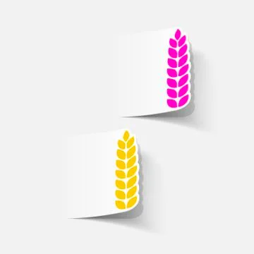 Realistic design element: ears of wheat Stock Illustration