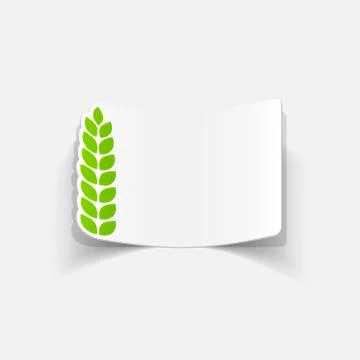 Realistic design element: ears of wheat Stock Illustration