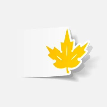 Realistic design element: leaf Stock Illustration