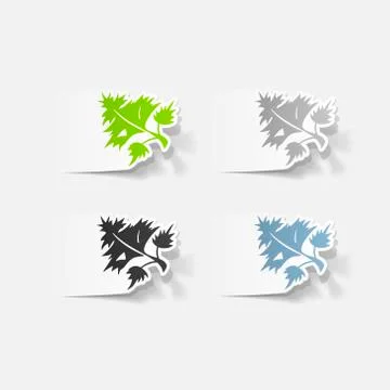Realistic design element: parsley, dill Stock Illustration