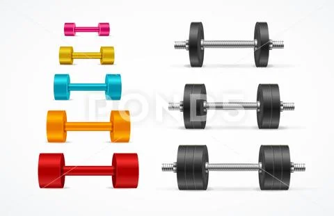 Realistic Detailed 3d Different Color Gym Equipment Dumbbell Set. Vector  Illustration #115102576