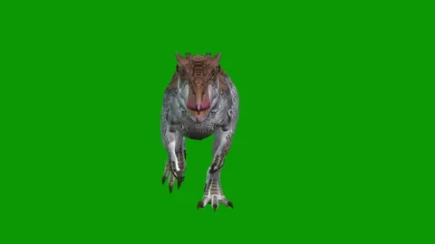 Realistic Dinosaur Walking Front 3D Render-Jurassic Dinosaur Green Screen Stock Footage 317804241