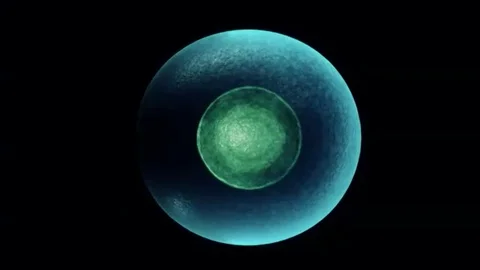 Realistic division of cells with alpha channel Stock Footage 102717206