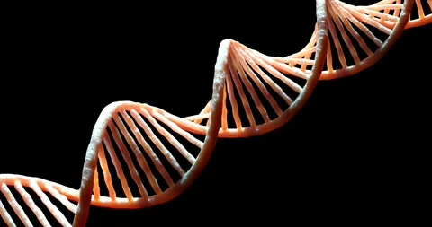 Realistic DNA 3D animation on dark background DNA double helix , Loopable Video stock 158512912