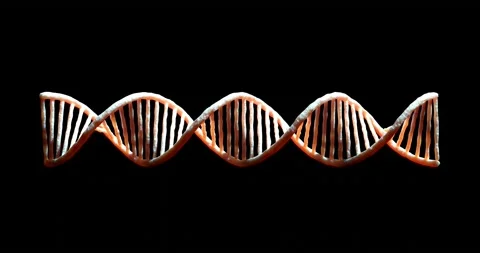 Realistic DNA 3D animation on dark background DNA double helix Seamless loopable Stock Footage 158566364