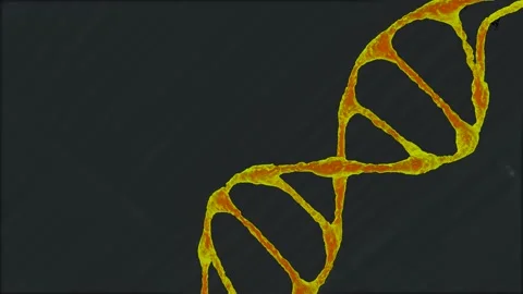 A realistic dna 3d model rotate on dark background Stock Footage 154411755