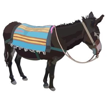 Realistic donkey with rug in vector Stock Illustration