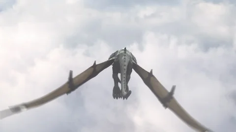 Realistic Dragon flying in the sky. Stock Footage 115709571