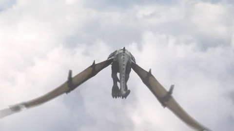 Realistic Dragon flying in the sky. Stock Footage 115795628