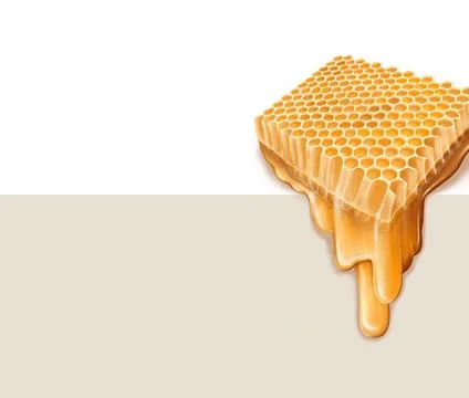 Realistic drawing of honeycombs with falling drops of honey. Stock Illustration