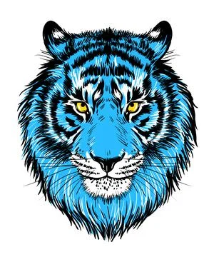 Realistic drawn face of a tiger, vector illustration. Tiger portrait color Illustrazione stock