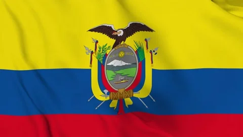 Realistic ecuador waving flag. Stock Footage 202601561