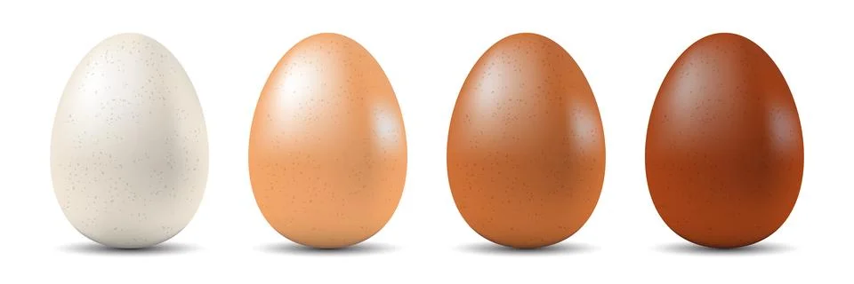 Realistic eggs icon set collection in flat style. Protein breakfast vector .. Stock Illustration