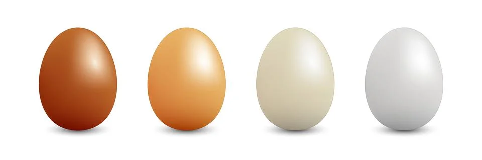 Realistic eggs icon set collection in flat style. Protein breakfast vector .. Stock Illustration