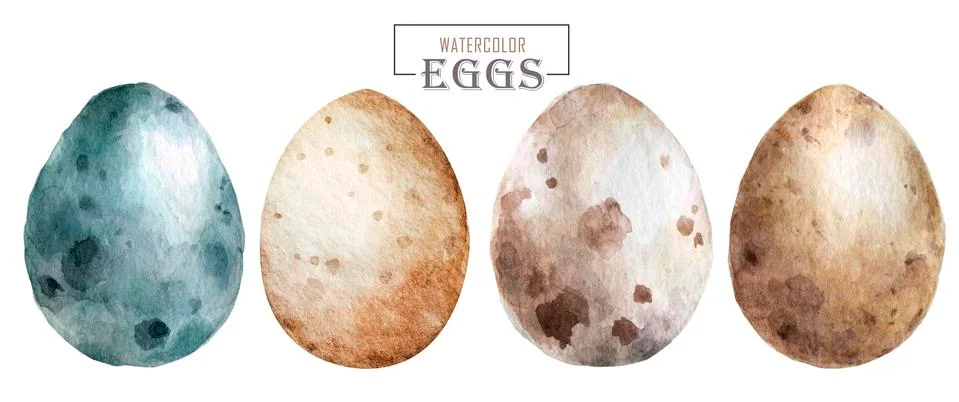 Realistic Eggs pattern on white background, Hand drawn watercolor eggs. Easte Stock Illustration