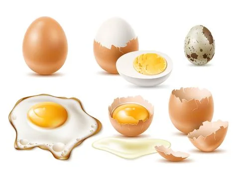 Realistic eggs. Raw and fried natural diet product, 3d chicken and quail egg Stock Illustration