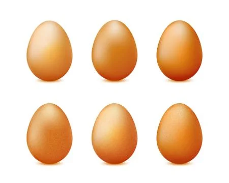 Realistic eggs set isolated on white background vector Stock Illustration