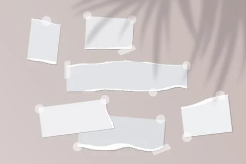 Realistic empty torn paper notes with sticky tape on beige background with palm Stock Illustration
