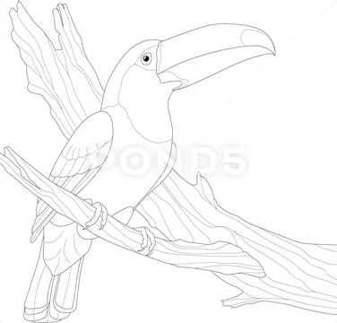 Premium Vector | Bird on a branch drawing by one continuous line