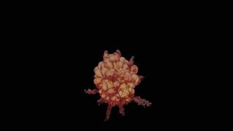 Realistic explosion with fire and smoke on black screen in 4k UHD animation. Stock Footage 156023392