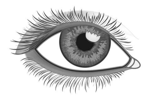 Realistic Eye Close-Up Stock Illustration