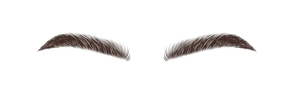 Realistic eyebrows on white background. Permanent make-up and microblading. Brow Stock Illustration