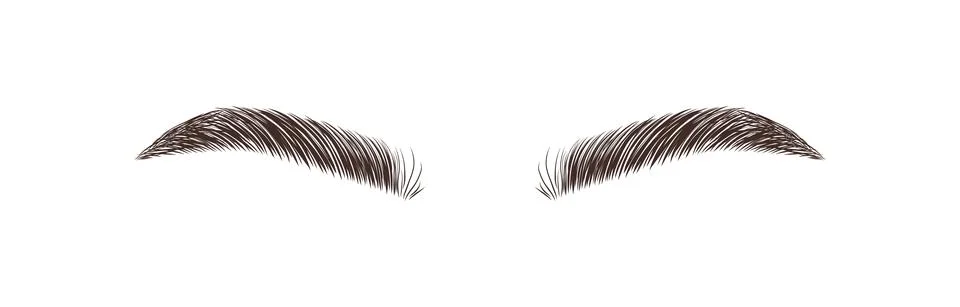 Realistic eyebrows on white background. Permanent make-up and microblading. Brow Stock Illustration