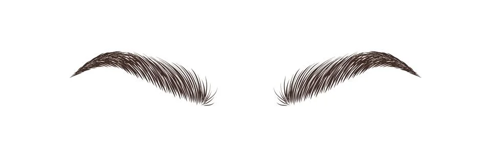 Realistic eyebrows on white background. Permanent make-up and microblading. Brow Stock Illustration