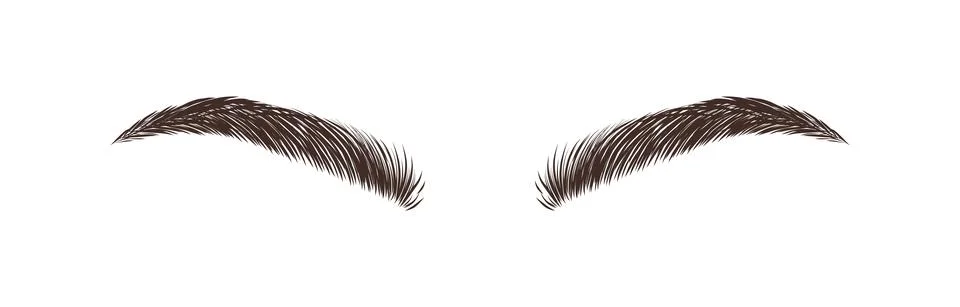Realistic eyebrows on white background. Permanent make-up and microblading. Brow Stock Illustration
