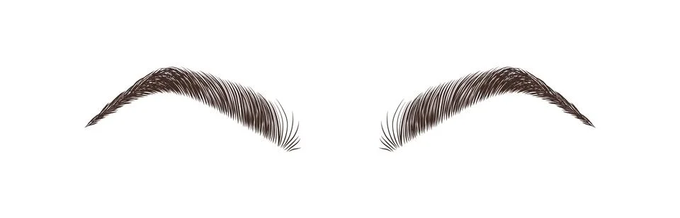 Realistic eyebrows on white background. Permanent make-up and microblading. Brow Stock Illustration