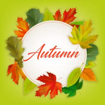 Realistic fall maple, oak leaves on color background with inscription Autumn Stock Illustration
