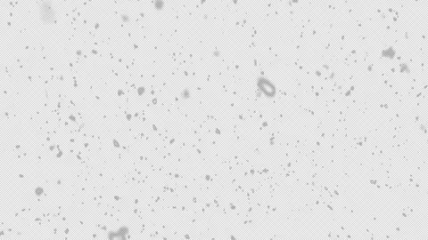 Realistic Falling Snow Medium Shot 4K Alpha Overlay Stock Footage 325692615