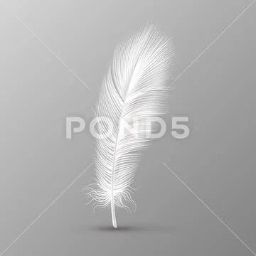 Realistic feather. Single white soft bird wings smooth fluff on transparent Stock Illustration