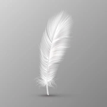 Realistic feather. Single white soft bird wings smooth fluff on transparent Stock Illustration