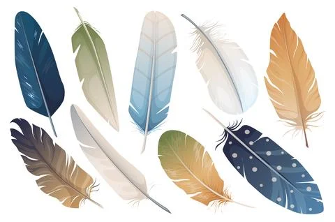Realistic Feathers Vector Set 스톡 일러스트