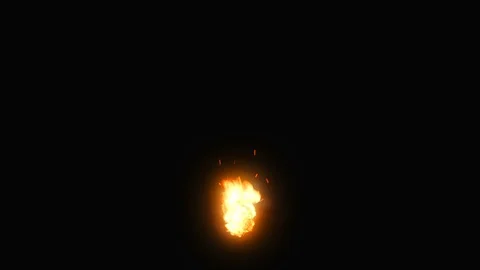 REALISTIC FIRE IN BLACK BACKGROUND Stock Footage 122022142