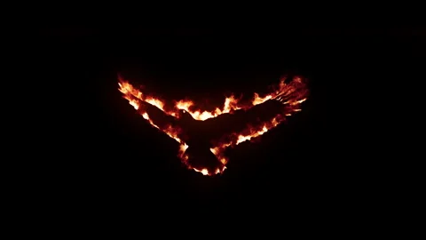 Realistic fire effect of eagle silhouette with burning flames on black Stock Footage 327556504