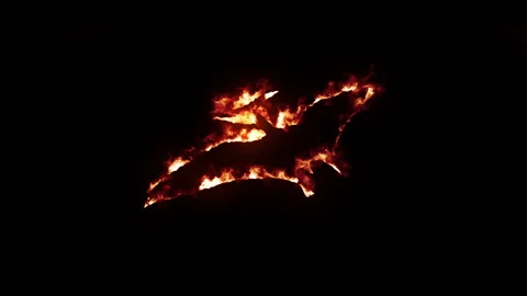 Realistic fire effect of pterodactyl silhouette with burning flames on black Stock Footage 327556375