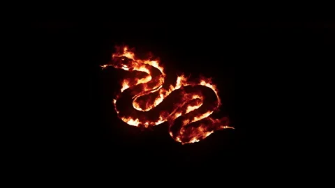 Realistic fire effect of snake silhouette with burning flames on black Stock Footage 327556538