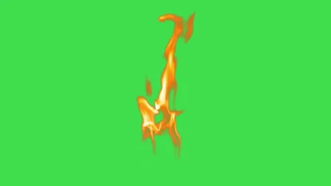 Realistic fire flame burning and flickering on green screen background for vfx Stock Footage 329964901