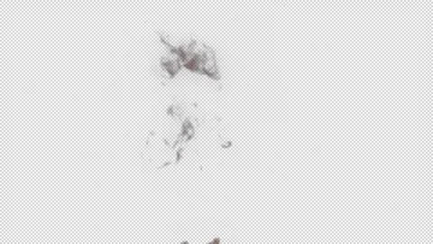 Realistic Fire Flame Element with Intense Burning Flames 動画素材 345348149