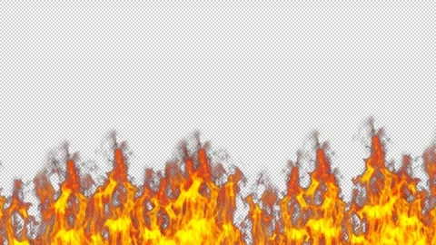 Realistic Fire Flame Element with Intense Burning Flames Vidéo 345353163
