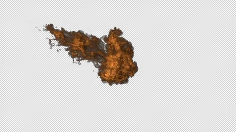 Realistic Fire Flame Element with Intense Burning Flames Vidéo 345502483