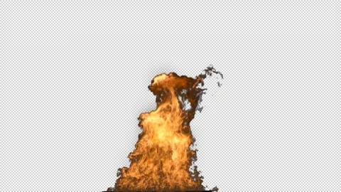 Realistic Fire Flame Element with Intense Burning Flames Vidéo 345502522