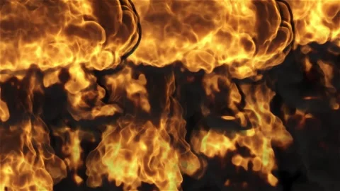 Realistic Fire Flame Element with Intense Burning Flames Stock-Footage 346180842