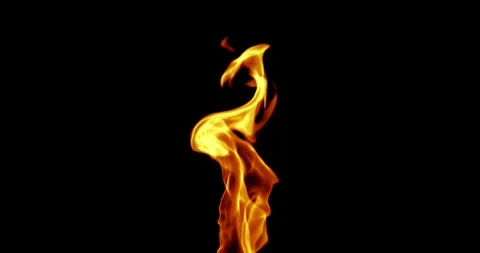Realistic fire flames burn with ash rise movement frame on black background Stock Footage 94329147